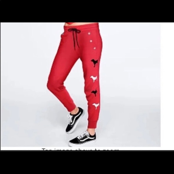 NWT VS PINK LARGE DOG LOGO SET - Picture 5 of 6